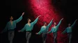 Imagem de Mensagem do Dia Mundial da Dança apela à união do setor e ações concretas