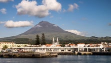 Vândalos cortam árvores na Madalena do Pico (Vídeo)