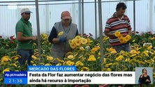 Imagem de Festa da Flor faz aumentar negócio das flores mas ainda há recurso à importação