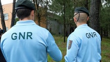 Imagem de GNR realizou mais de dois mil transportes de órgãos humanos desde 2010