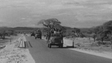 Imagem de Regressaram da guerra no Ultramar há 50 anos (vídeo)