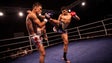 Imagem de Funchal recebe I Gala Internacional de Muay Thai