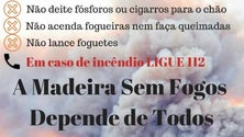 Imagem de Madeira e três concelhos do continente em risco muito elevado de incêndio