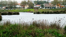 Imagem de Praia da Vitória dirige estratégia turística para a Natureza (Vídeo)