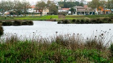 Praia da Vitória dirige estratégia turística para a Natureza (Vídeo)