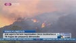 Imagem de Prevenção contra incêndios está a dar frutos na Madeira