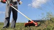 Imagem de Governo considera «contraproducente» prorrogar prazo para limpeza de terrenos