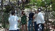 Imagem de PSD alega que apoios do Estado à agricultura não se adequam aos viticultores da Madeira (Vídeo)