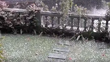 Imagem de Queda de granizo no Funchal (vídeo)