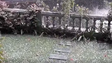 Imagem de Queda de granizo no Funchal (vídeo)