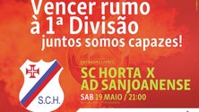 Imagem de Sporting da Horta volta à primeira divisão de andebol (Vídeo)