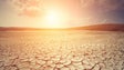Imagem de Seca, alterações climáticas e desflorestação