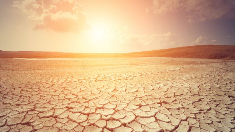 Imagem de Seca, alterações climáticas e desflorestação