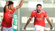 Imagem de Benfica vence em Vila do Conde mas sofre