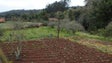 Imagem de Levada da Serra em Santo António recuperada com apoio Europeu