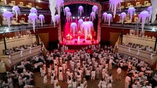 Imagem de Proibida a realização de festas e eventos nos Açores (Vídeo)