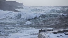 Imagem de Forte ondulação causou danos no Porto das Lajes, na ilha das Flores (Vídeo)