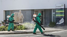 Imagem de Madeira com mais 14 casos de Covid-19, um de transmissão local