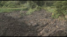 Imagem de Enxurradas provocam estragos no Pico (Vídeo)