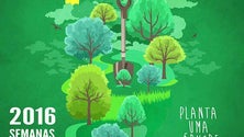 Imagem de Ações de Reflorestação no Parque Ecológico de 16 a 30 de novembro
