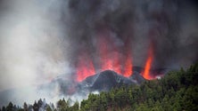 Imagem de Madeirense afetado pelo vulcão de La Palma (vídeo)