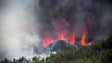Imagem de Madeirense afetado pelo vulcão de La Palma (vídeo)