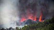 Madeirense afetado pelo vulcão de La Palma (vídeo)