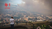 Imagem de Madeira reforça apoios à reconstrução a reboque da tragédia de Pedrógão Grande