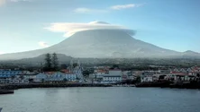 Imagem de Fábrica de Conservas do Pico começa a laborar em abril (Vídeo)