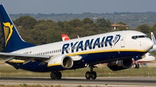 Imagem de Ryanair quer slots da TAP (vídeo)