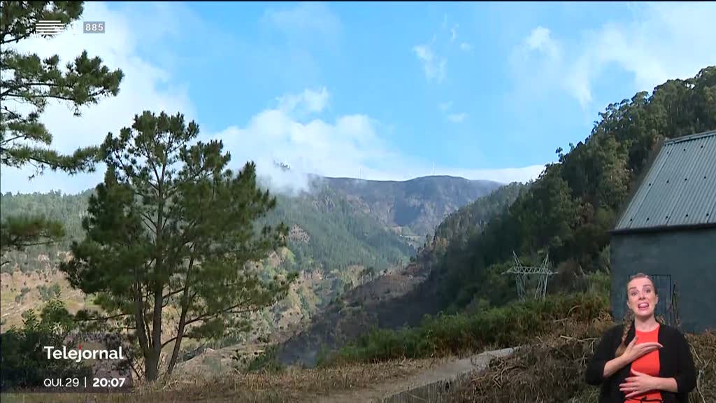 Incêndio na Madeira. Identificado local e alegados responsáveis