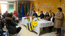 Imagem de Na Madeira existem cerca de 300 apicultores (vídeo)