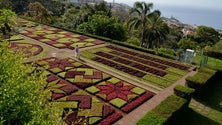 Imagem de Jardim Botânico recebe cerca de 400 pessoas por dia (Vídeo)
