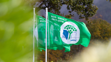 Imagem de Estabelecimento Prisional do Funchal é o único do país a exibir bandeira Eco-Escolas