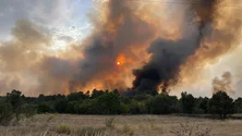 Incêndios: Quarenta e cinco detidos este ano