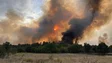 Imagem de Incêndios: Quarenta e cinco detidos este ano