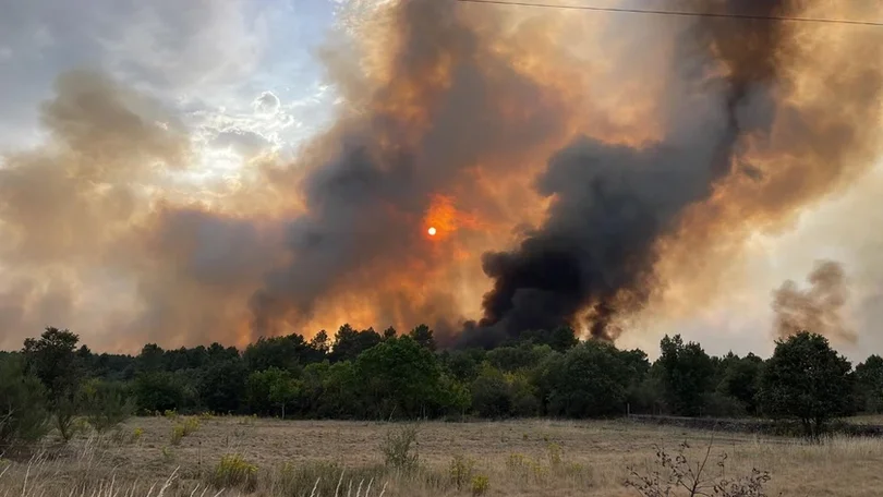 Imagem de Incêndios: Quarenta e cinco detidos este ano