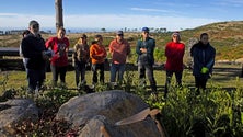 Imagem de `Amigos do Parque Ecológico do Funchal` vão recorrer a providência cautelar para travar pastoreio