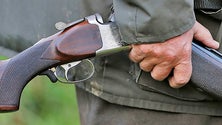 Imagem de Há cerca de 1,5 milhões de armas legais em Portugal