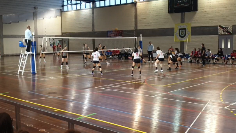Imagem de Voleibol feminino