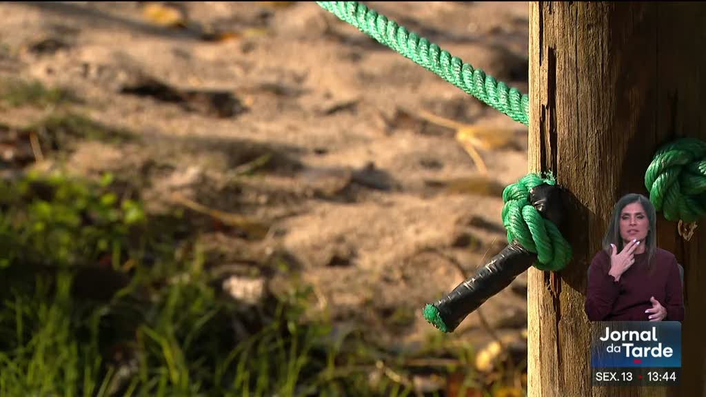 Imagem de A Prova dos Factos. Professor condenado por abusos continuou a dar aulas