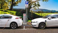 Imagem de Plataforma ajuda na compra de elétricos