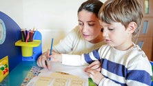Imagem de Madeira prepara estudo sobre neurodesenvolvimento