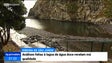 Imagem de Análises feitas à lagoa da Ribeira de São Jorge revelam má qualidade da água (Vídeo)