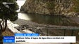 Análises feitas à lagoa da Ribeira de São Jorge revelam má qualidade da água (Vídeo)