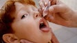 Serviço de Saúde da Madeira chama 150 crianças para vacinação contra sarampo