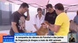 A campanha de vacinação de cães já chegou a mais de 400 animais no Funchal