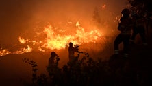 Imagem de Mulher detida pela autoria de sete fogos em Viana do Castelo
