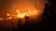 Imagem de Mulher detida pela autoria de sete fogos em Viana do Castelo