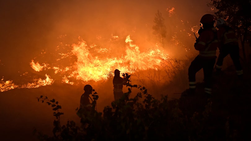 Imagem de Mulher detida pela autoria de sete fogos em Viana do Castelo